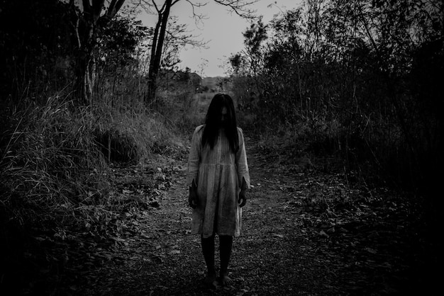 retrato-mujer-asiatica-maquillada-cara-fantasma-sangreescena-terrorfondo-miedocartel-peliculas-fantasmas_44277-17146